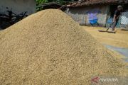 Pengamat: Beras satu harga perlu dukungan stok dan distribusi kuat