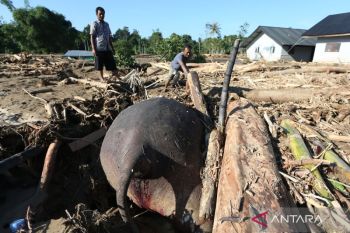 Bencana Senyar, tagihan hutang ekologis yang jatuh tempo
