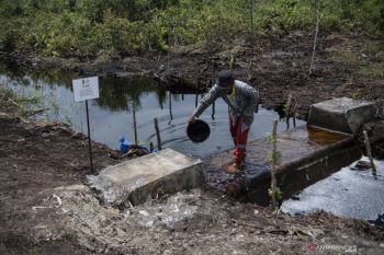 Desealing soil untuk mengembalikan napas kota
